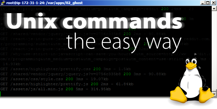 Unix & Linux Basic Command Line