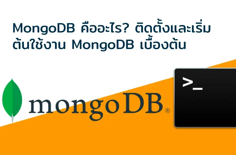 MongoDB คืออะไร? ติดตั้งและเริ่มต้นใช้งาน MongoDB เบื้องต้น